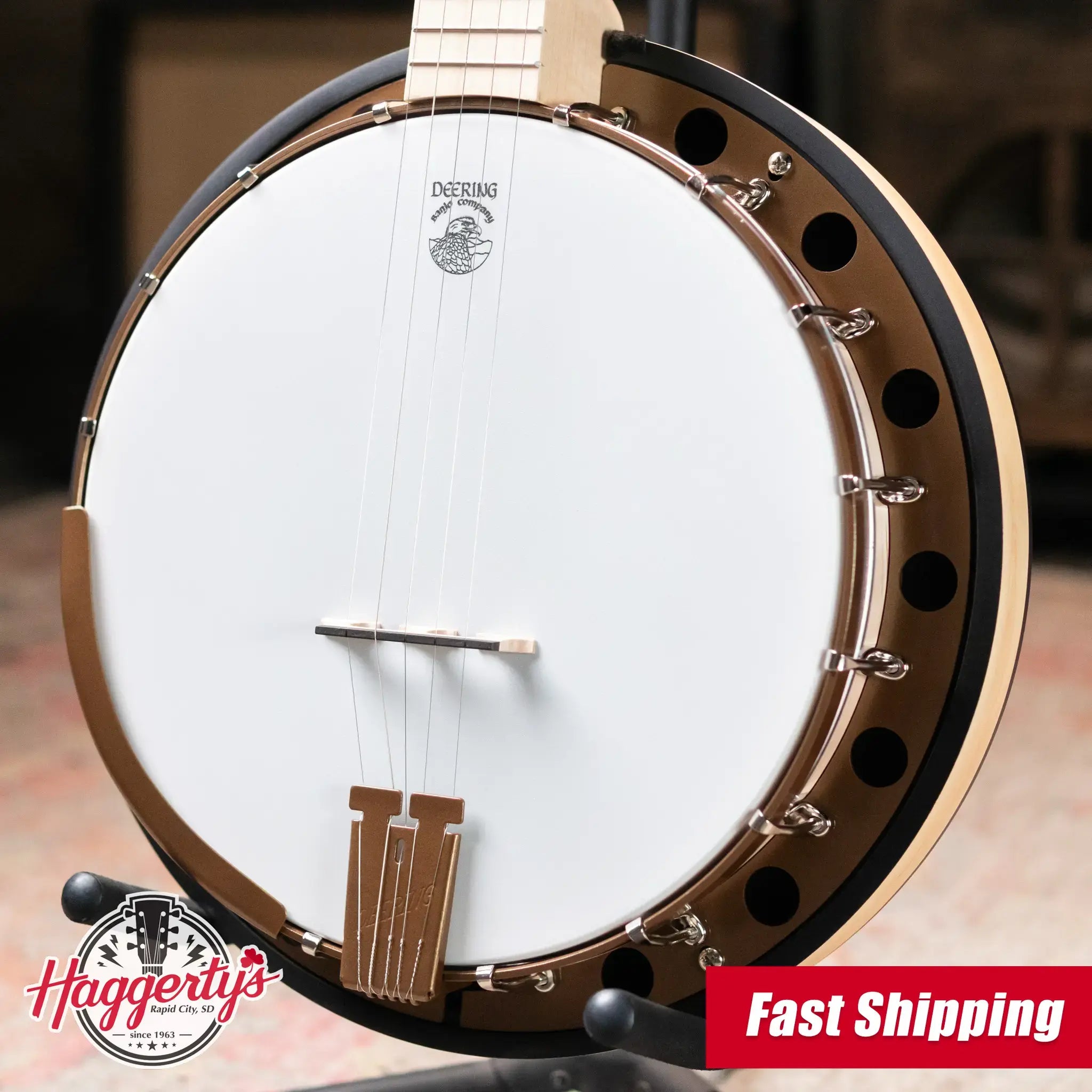 Deering Goodtime Special Banjo with Resonator
