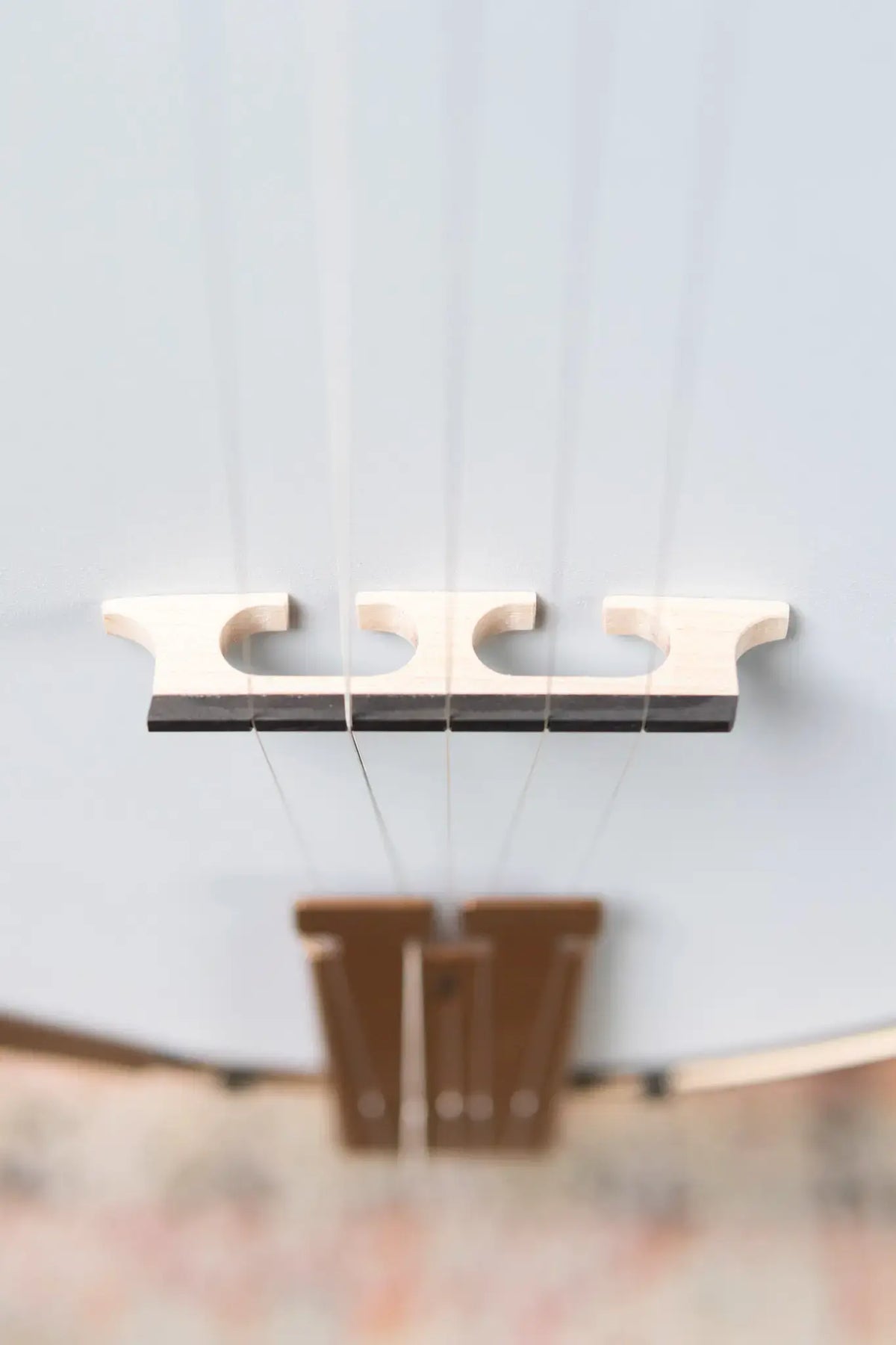 Deering Goodtime Special Banjo with Resonator - Demo