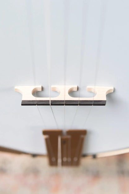 Deering Goodtime Special Banjo with Resonator - Demo