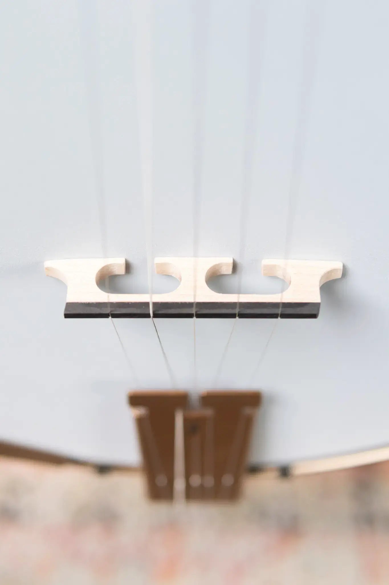 Deering Goodtime Special Banjo with Resonator