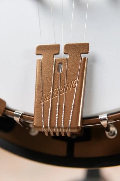 Deering Goodtime Special Banjo with Resonator - Demo