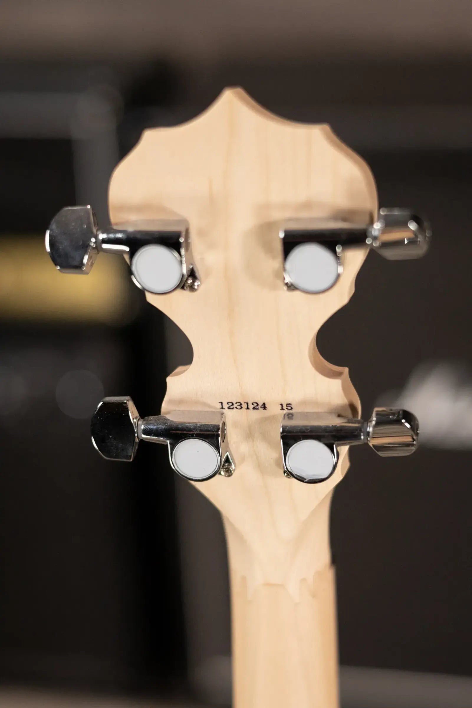 Deering Goodtime Two 5-String with Resonator Banjo