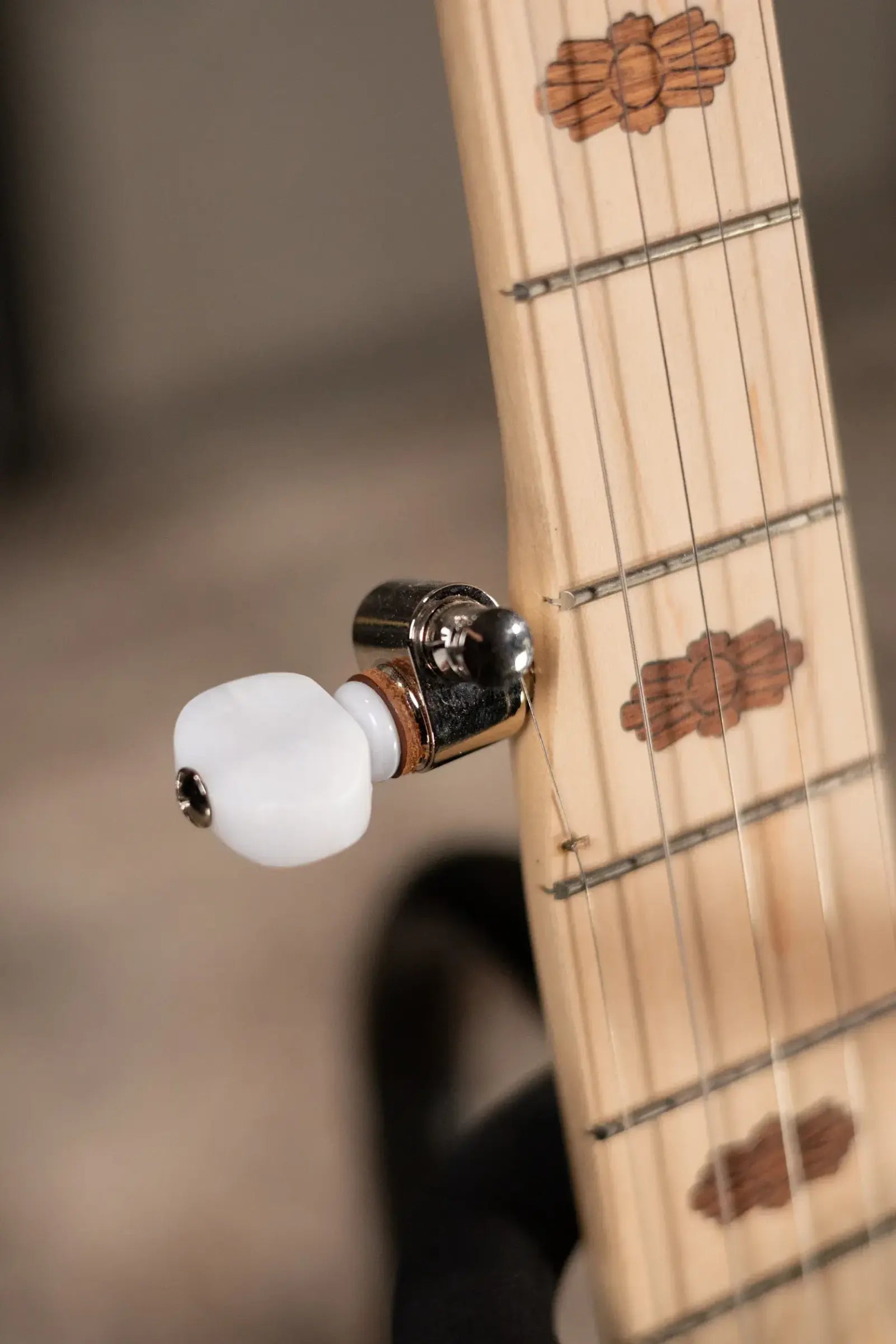 Deering Goodtime Two 5-String with Resonator Banjo