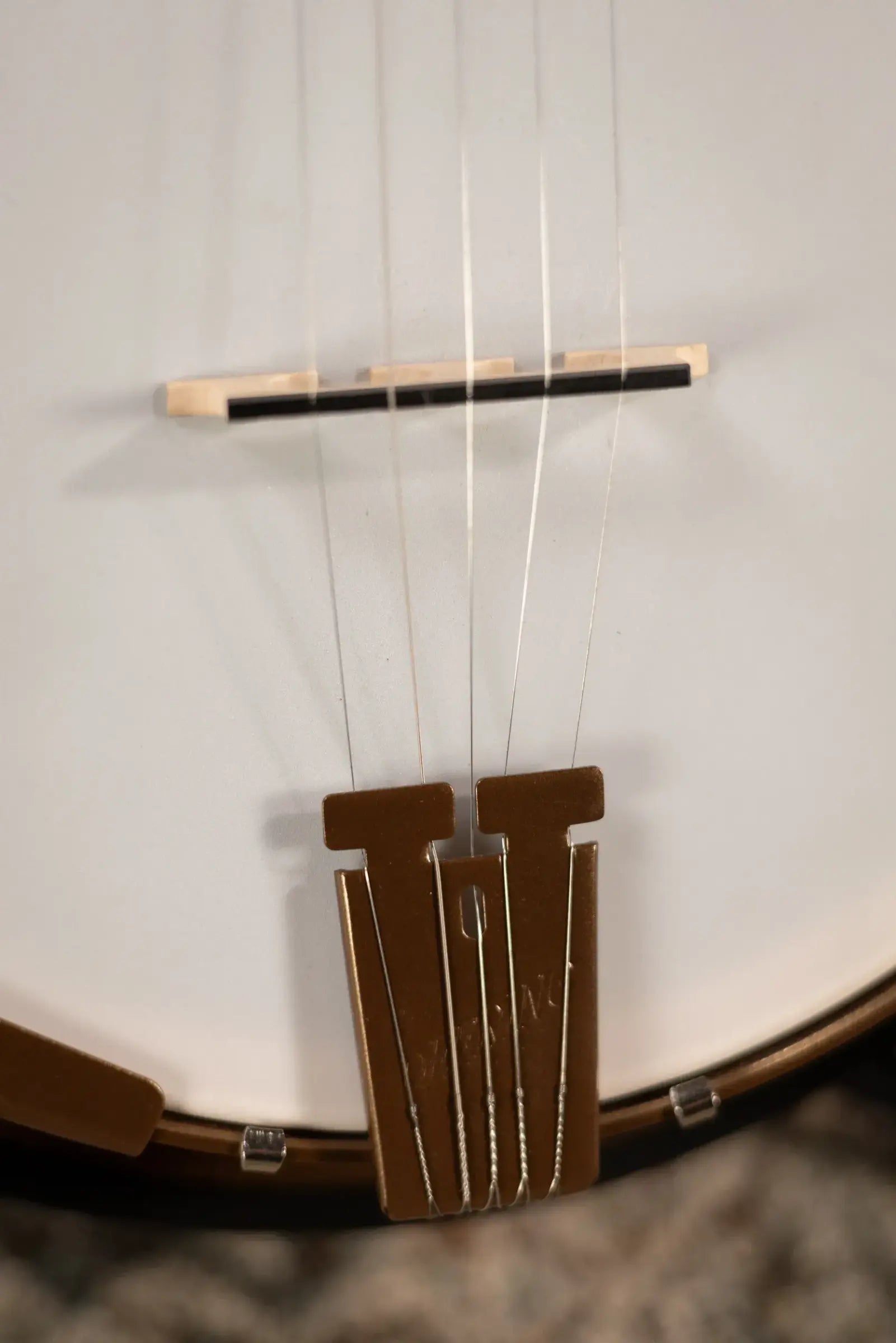 Deering Goodtime Two 5-String with Resonator Banjo