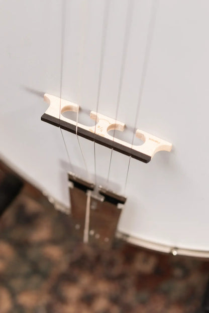 Deering Sierra 5-String Mahogany Banjo with Hardshell Case