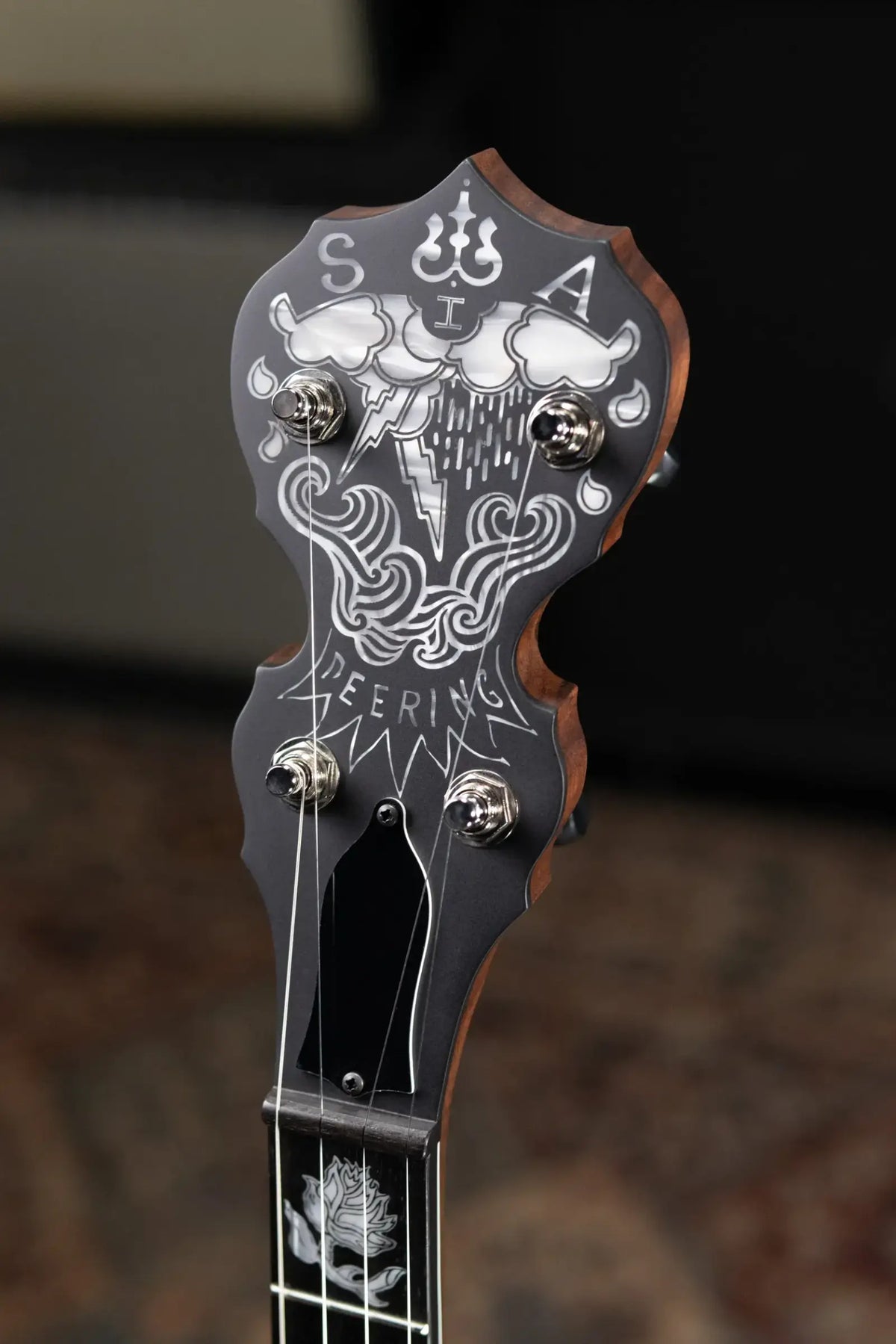 Deering The Scott Avett "Truth" Signature Banjo with Hardshell Case