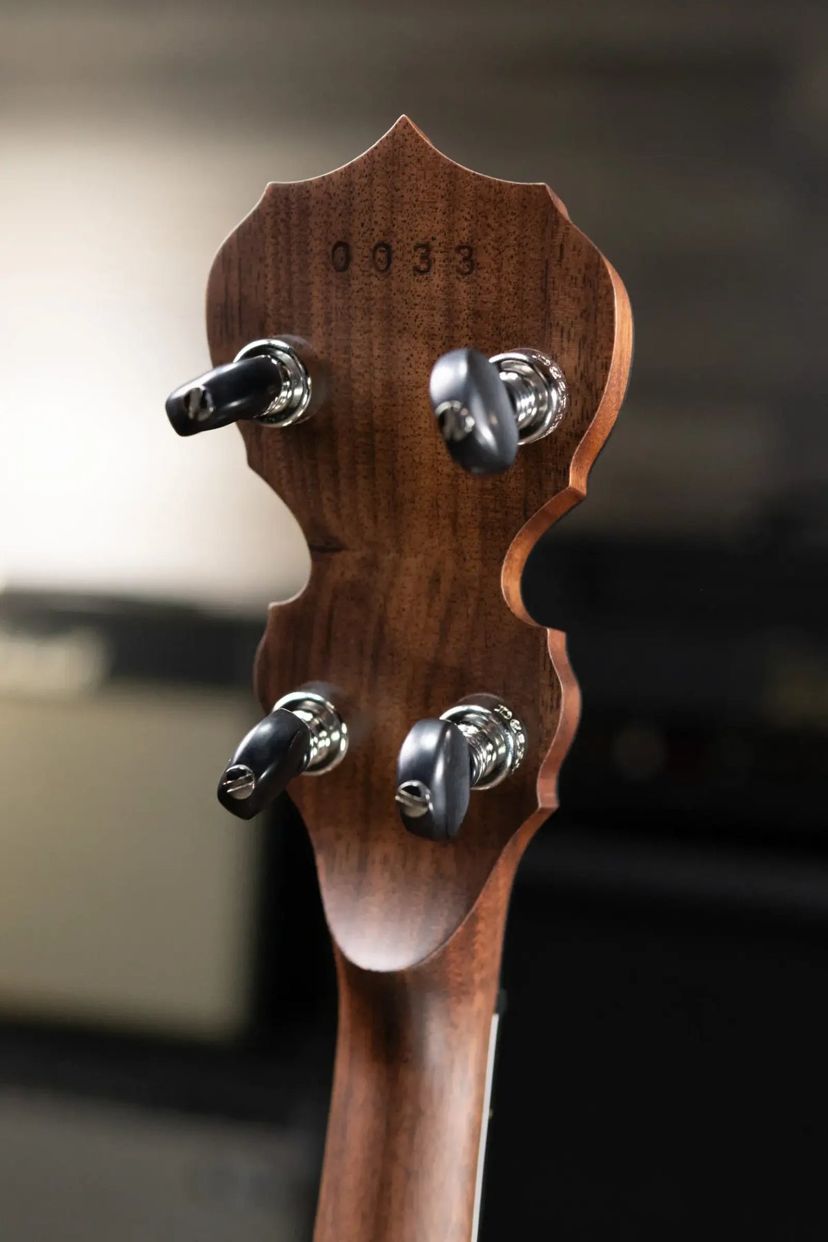 Deering The Scott Avett "Truth" Signature Banjo with Hardshell Case
