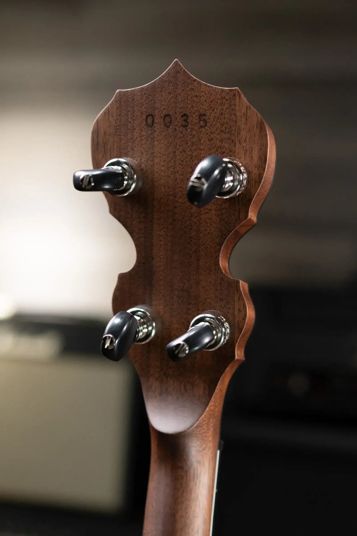 Deering The Scott Avett "Truth" Signature Banjo with Hardshell Case