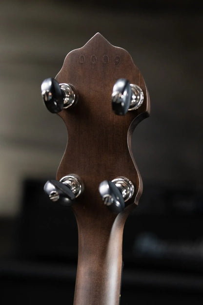 Deering Vega Avett Star Signature Banjo with Hardshell Case