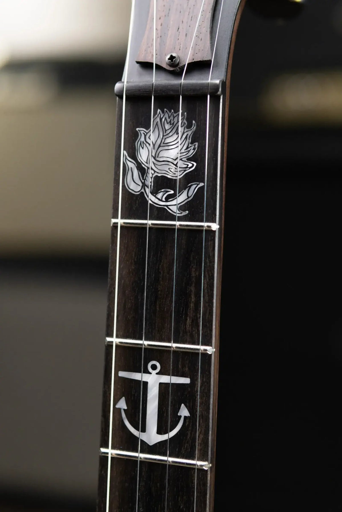 Deering Vega Avett Star Signature Banjo with Hardshell Case