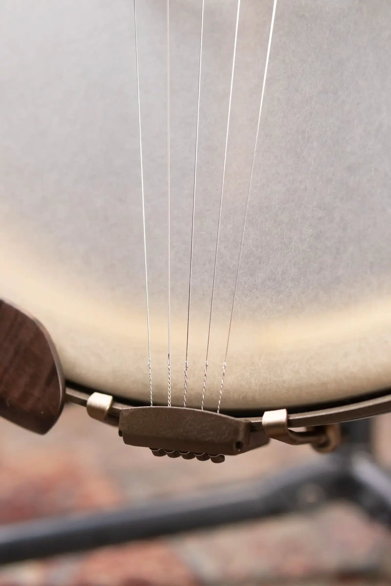 Deering Vega Vintage Star 5 String Banjo with Hardshell Case