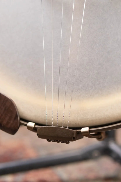 Deering Vega Vintage Star 5 String Banjo with Hardshell Case