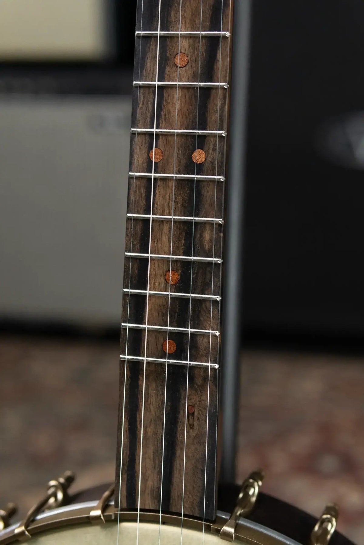 Deering Vega Vintage Star 5-String Banjo with Kavanjo Pickup and Hardshell Case