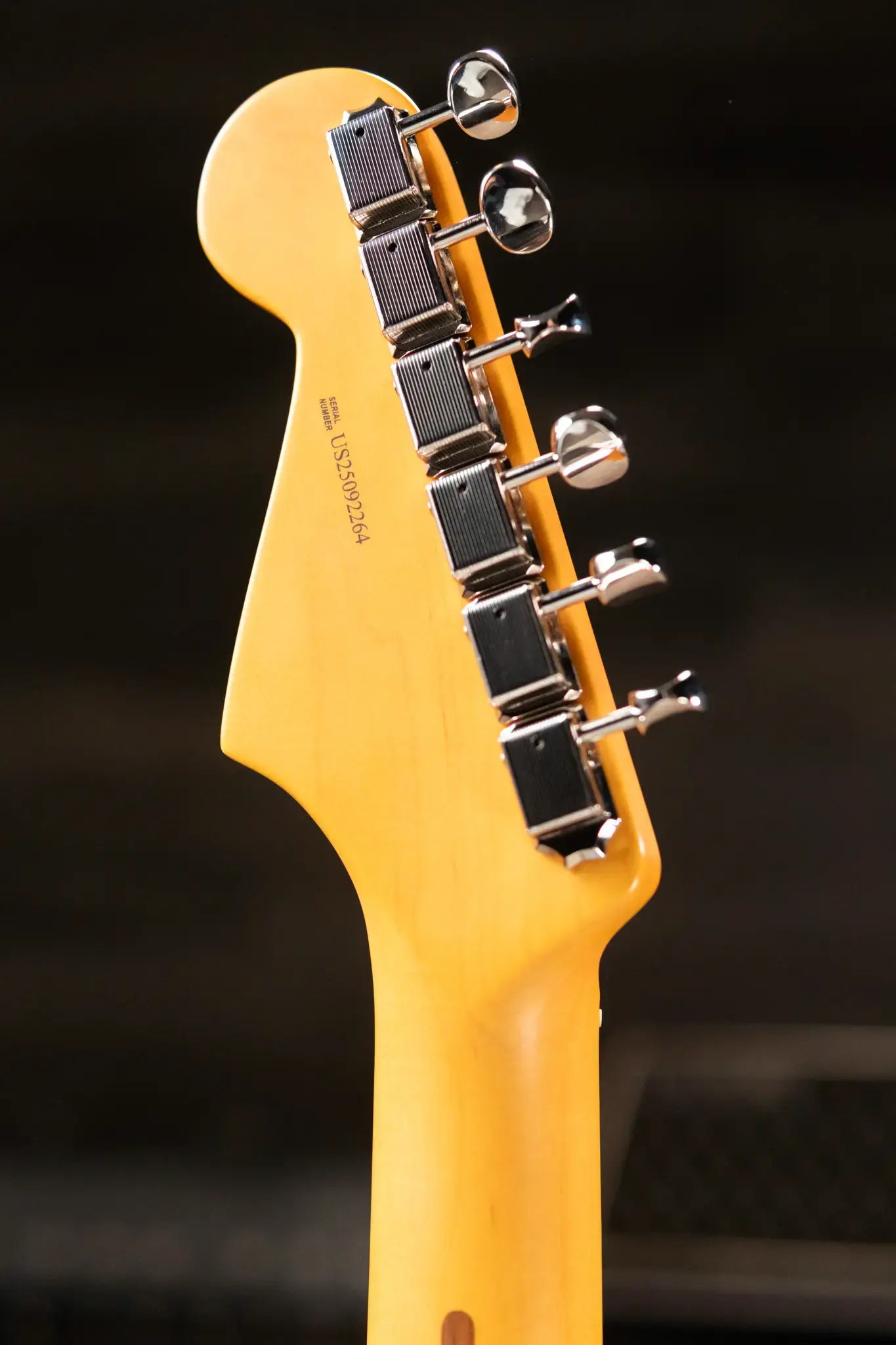 Fender American Professional Classic Stratocaster Electric Guitar - Faded Lake Placid Blue with Gig Bag