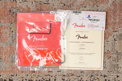 Fender American Professional Classic Stratocaster Electric Guitar - Faded Lake Placid Blue with Gig Bag