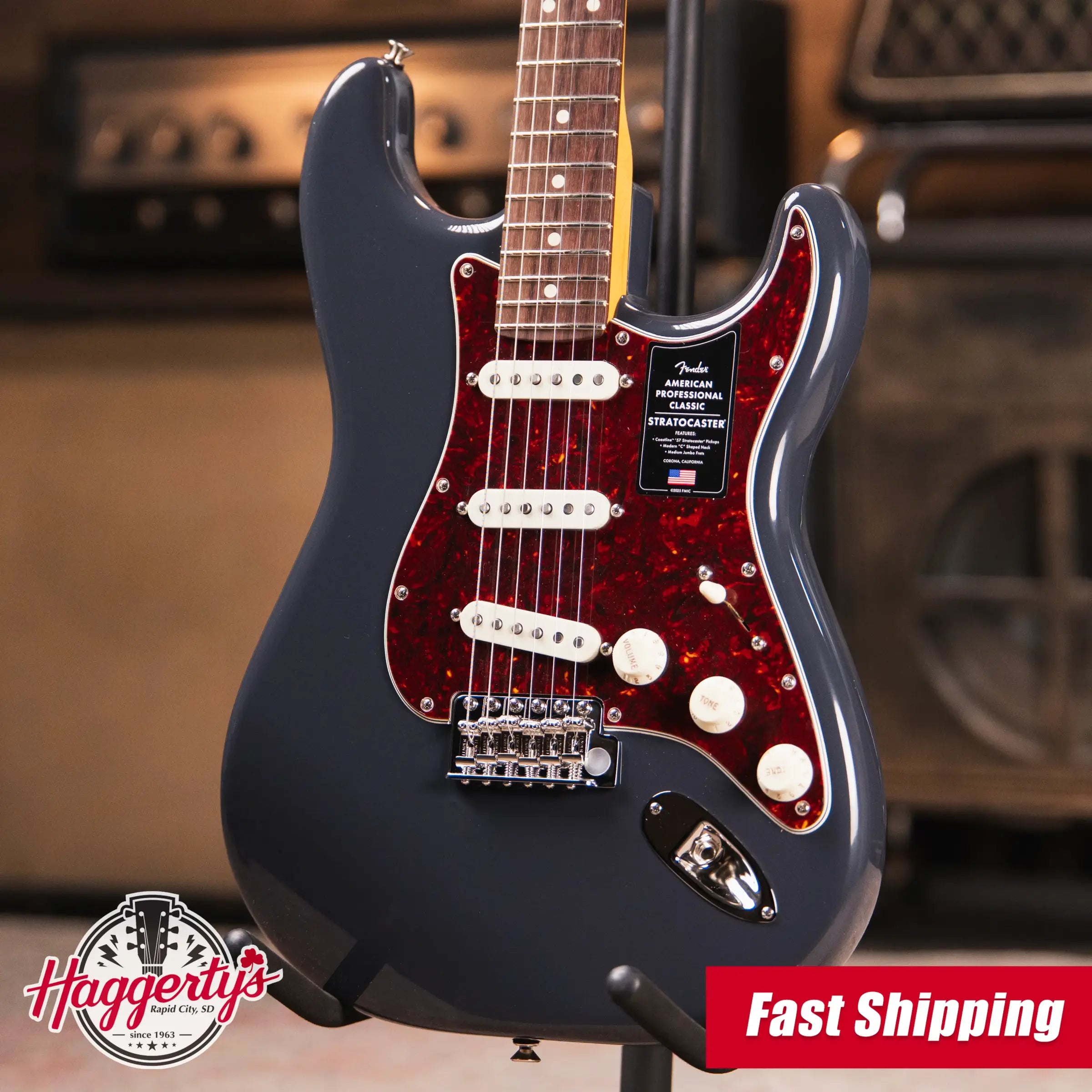 Fender American Professional Classic Stratocaster - Faded Black with Gig Bag