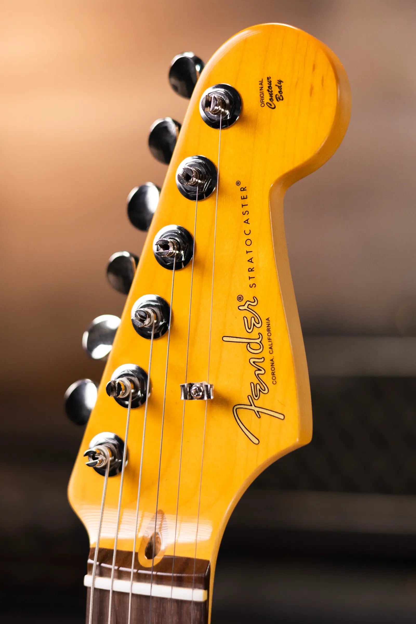 Fender American Professional Classic Stratocaster - Faded Black with Gig Bag