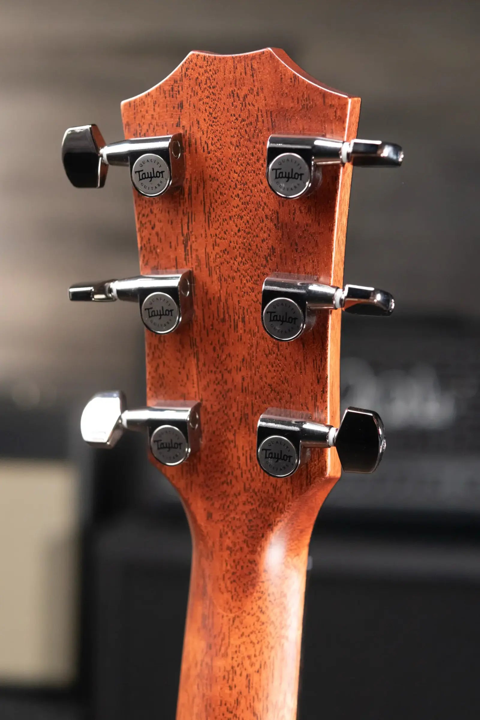 Taylor Next Generation 814ce Grand Auditorium Acoustic/Electric Guitar with Hardshell Case