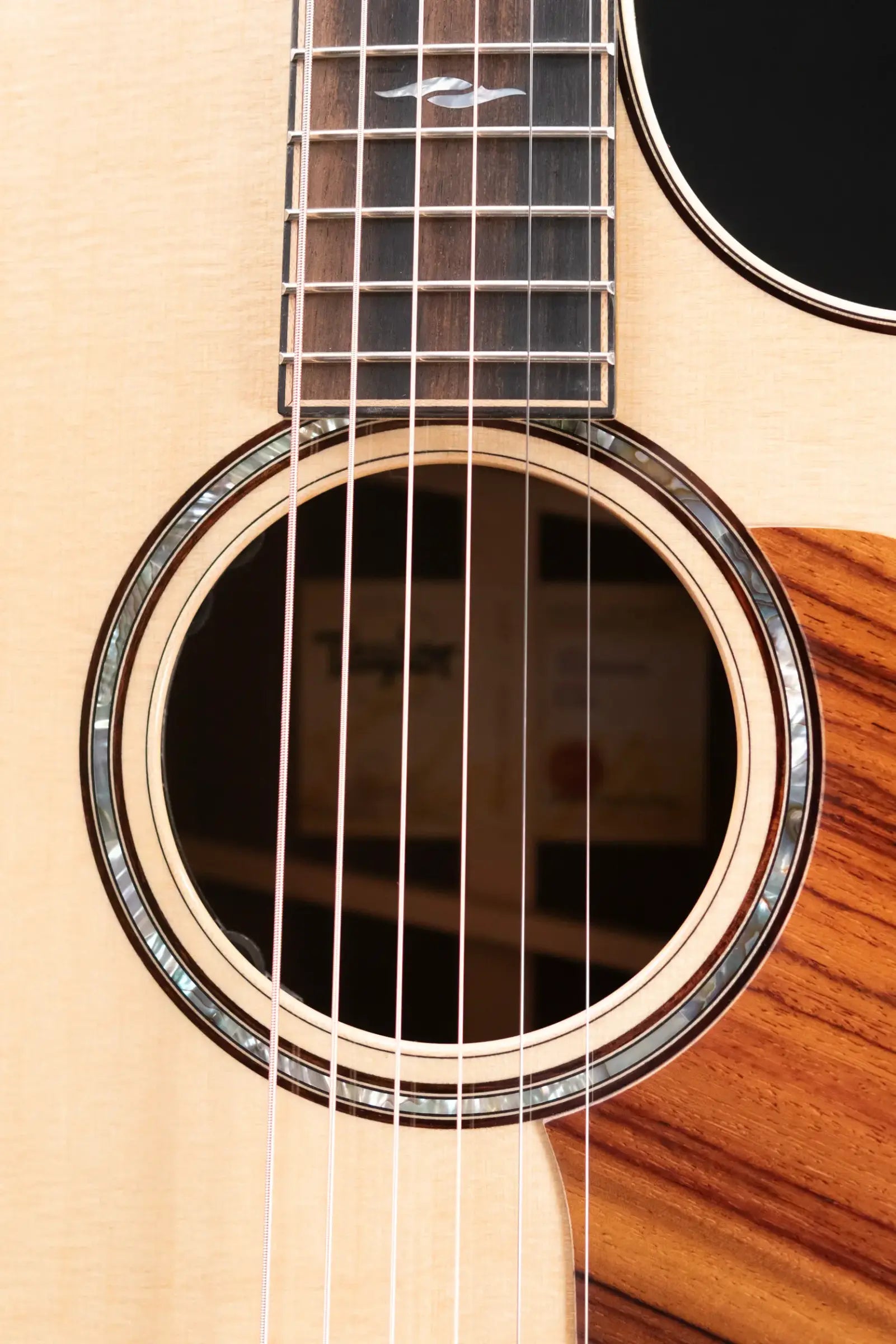 Taylor Next Generation 814ce Grand Auditorium Acoustic/Electric Guitar with Hardshell Case