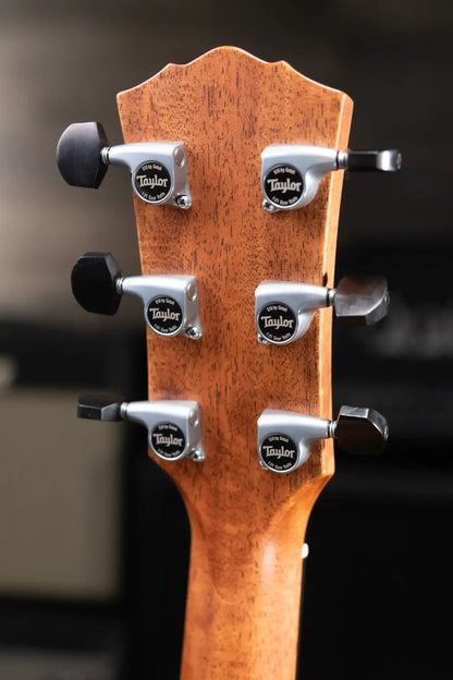 Taylor Gold Label 810e Dreadnought Acoustic/Electric Guitar with Hardshell Case