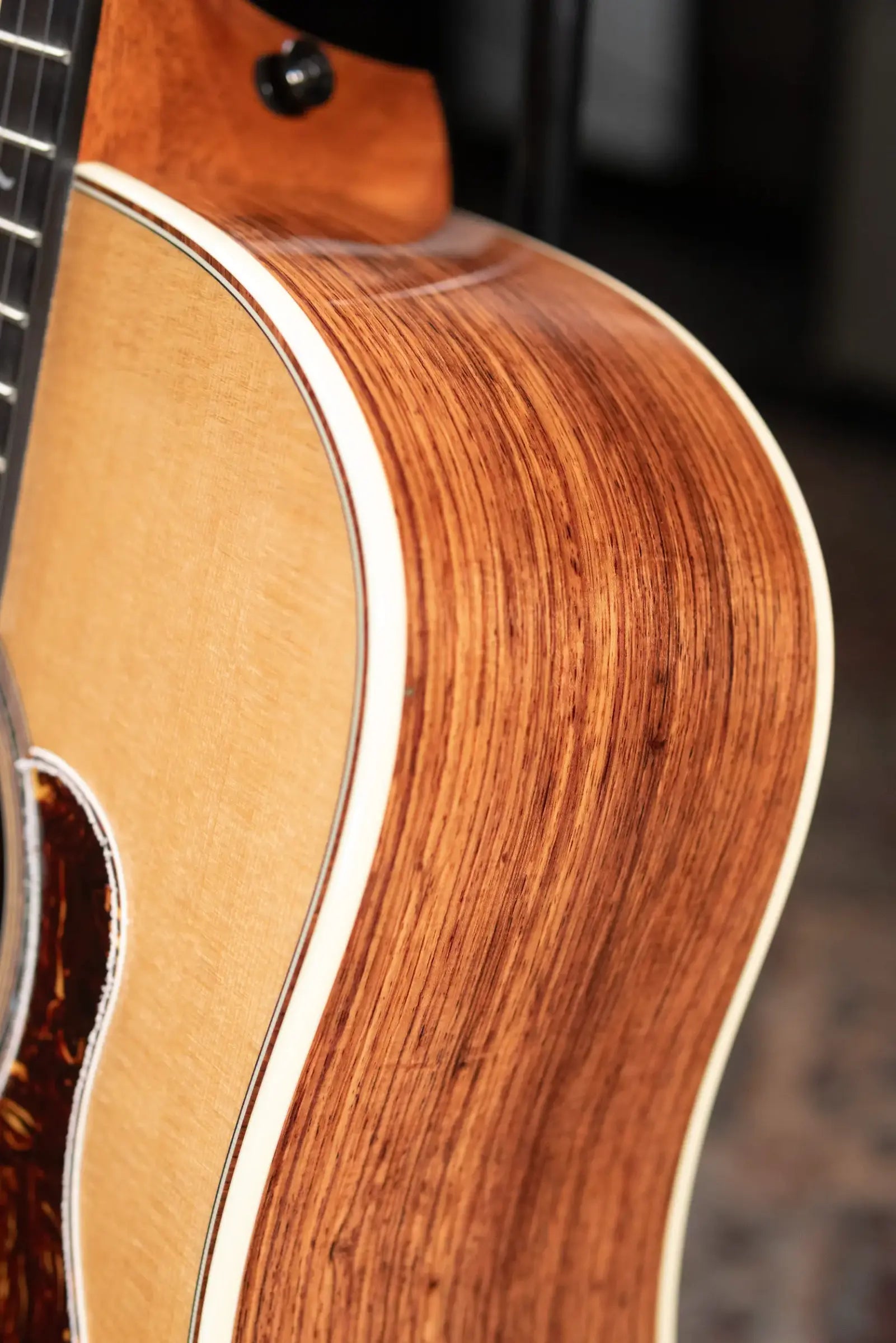 Taylor Gold Label 810e Dreadnought Acoustic/Electric Guitar with Hardshell Case