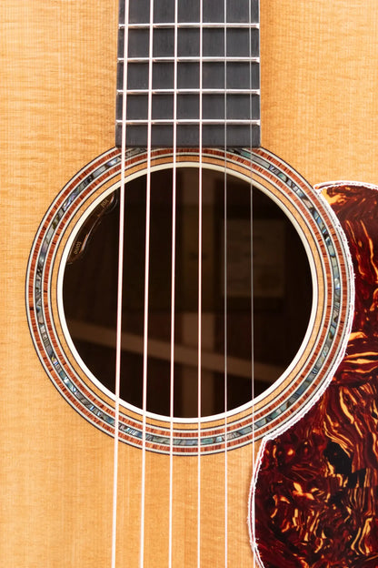 Taylor Gold Label 810e Dreadnought Acoustic/Electric Guitar with Hardshell Case