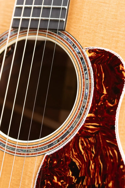 Taylor Gold Label 810e Dreadnought Acoustic/Electric Guitar with Hardshell Case