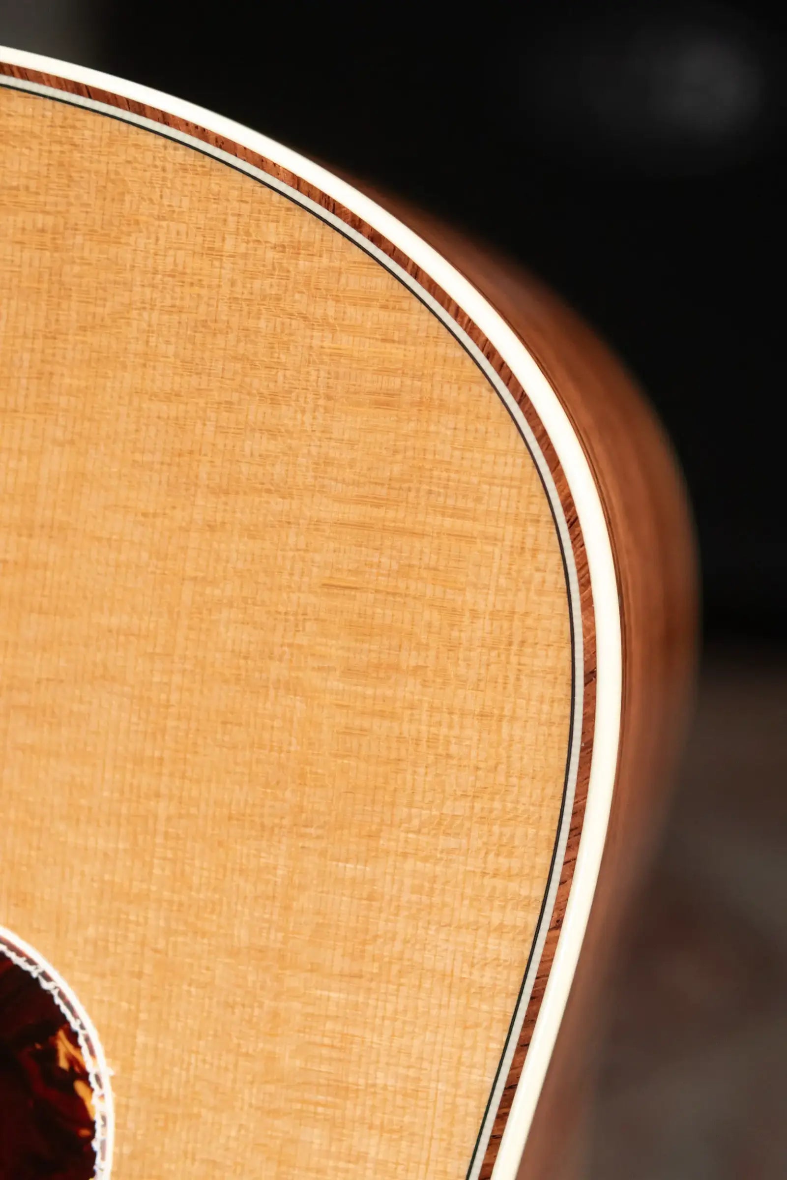 Taylor Gold Label 810e Dreadnought Acoustic/Electric Guitar with Hardshell Case