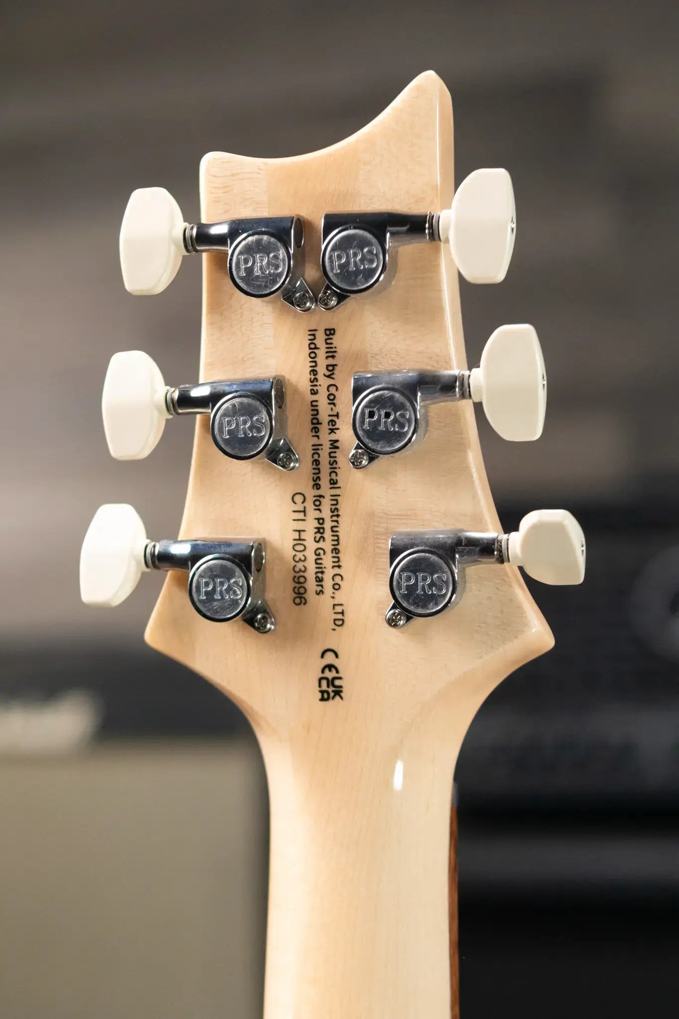 PRS SE Custom 24 Electric Guitar - Slate Blue with Gig Bag