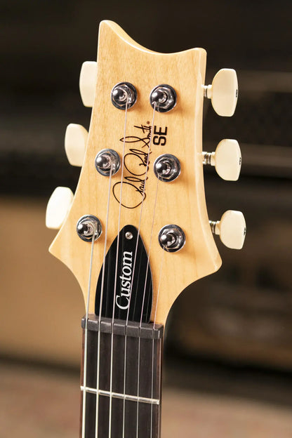 PRS SE Custom 24 Electric Guitar - Slate Blue with Gig Bag