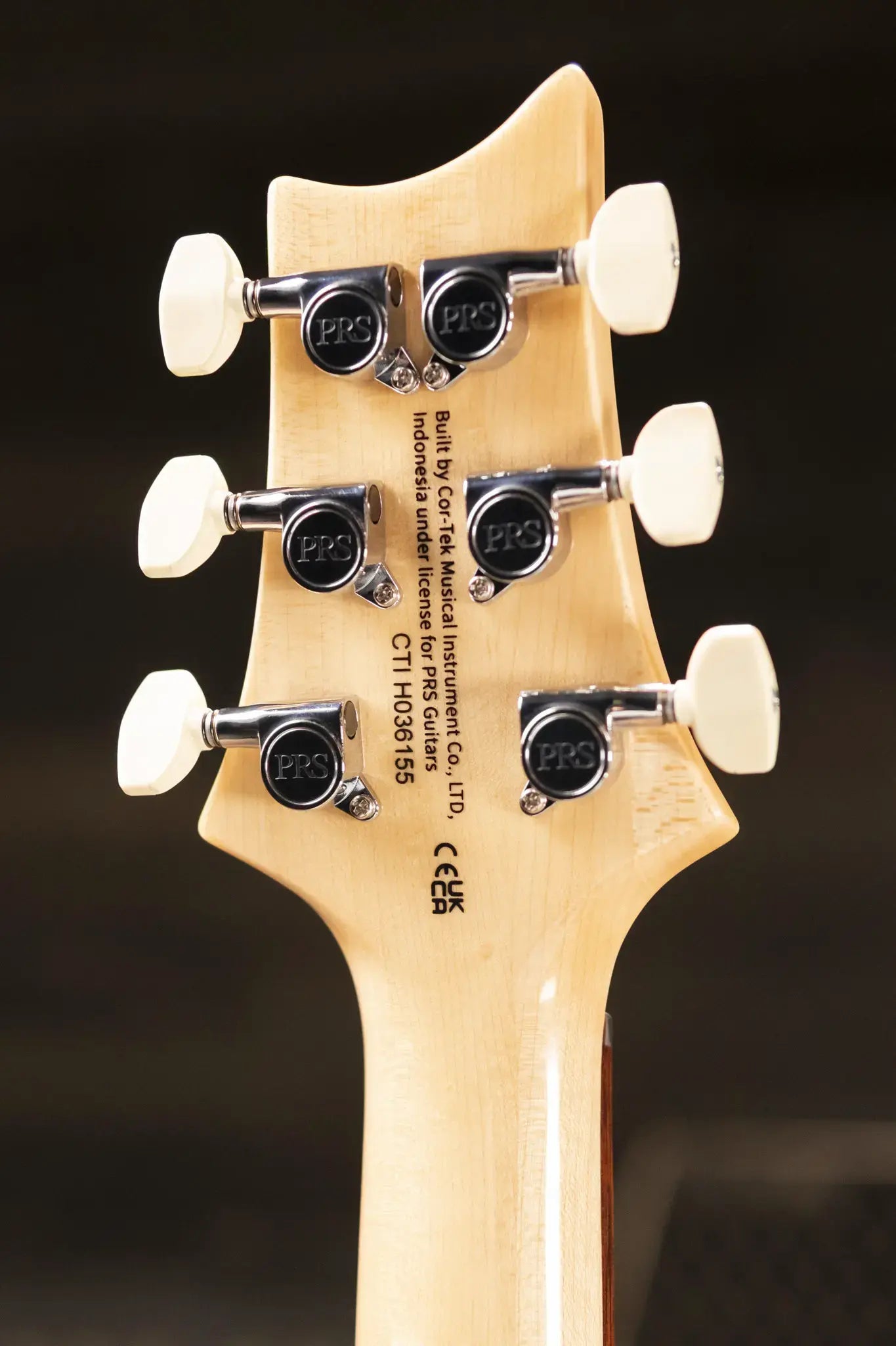 PRS SE Custom 24 Electric Guitar - Slate Blue with Gig Bag