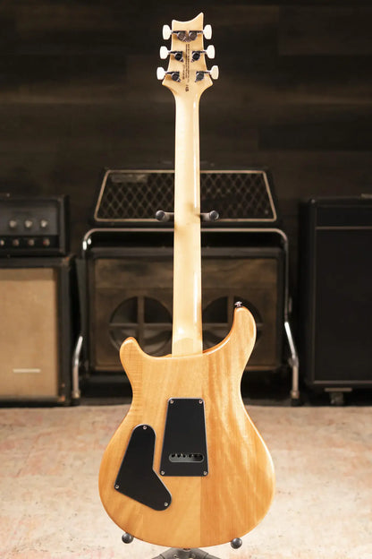 PRS SE Custom 24 Electric Guitar - Slate Blue with Gig Bag