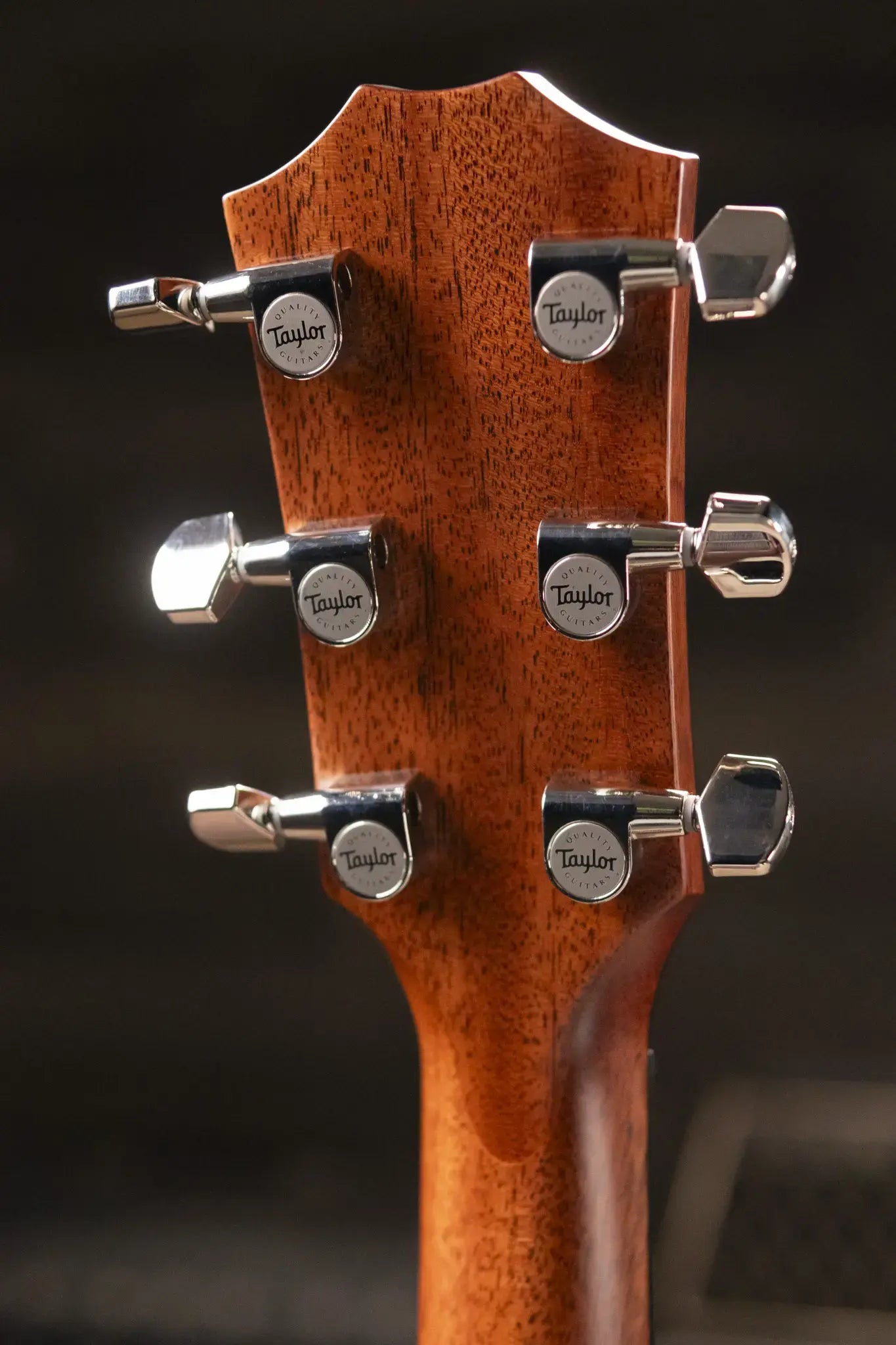 Taylor Next Generation 414ce Grand Auditorium Acoustic/Electric Guitar with Hardshell Case