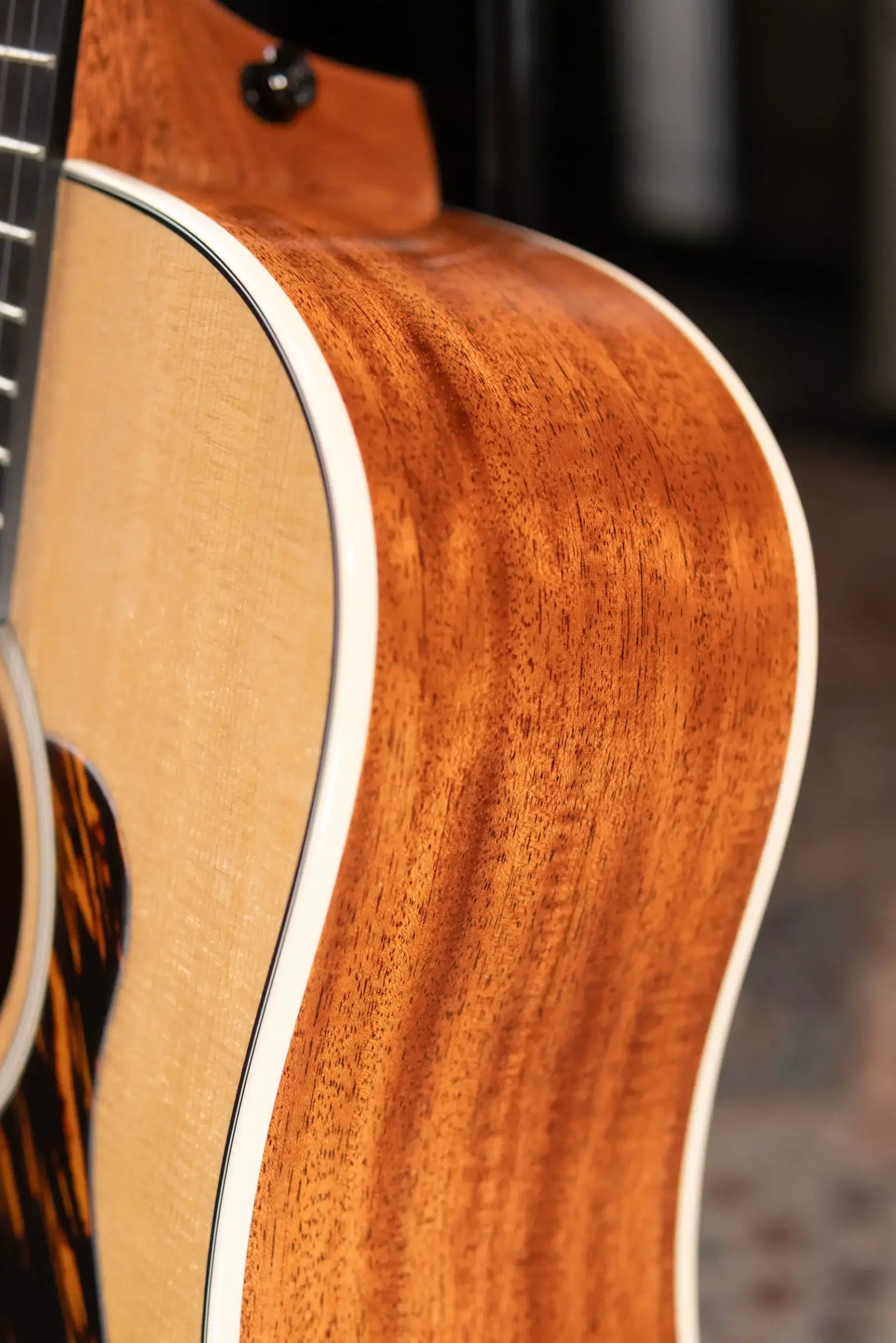 Taylor Gold Label 510e Dreadnought Acoustic/Electric Guitar with Hardshell Case