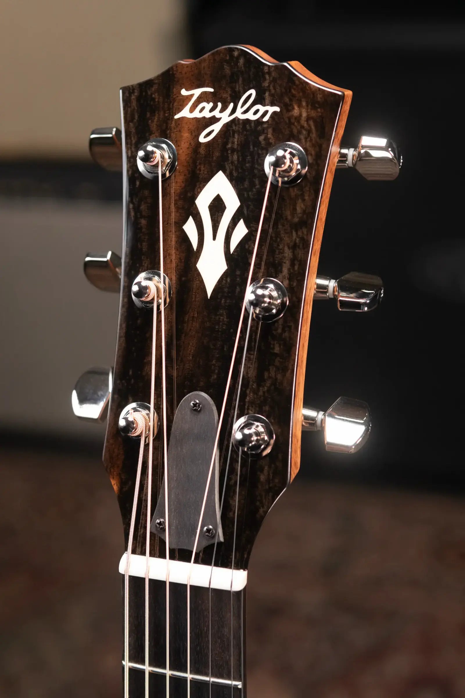 Taylor Gold Label 710e Dreadnought Acoustic/Electric Guitar with Hardshell Case