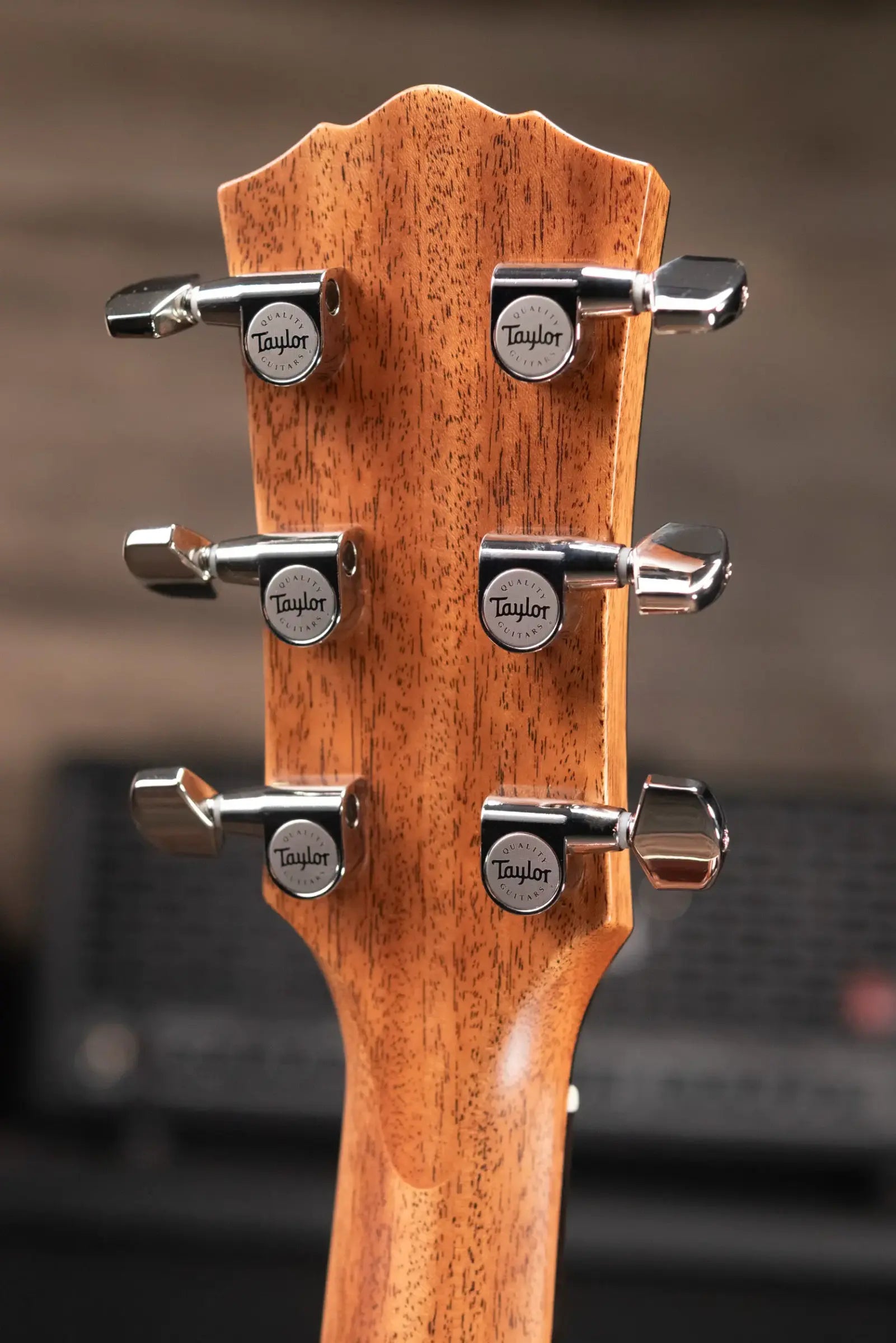 Taylor Gold Label 710e Dreadnought Acoustic/Electric Guitar with Hardshell Case