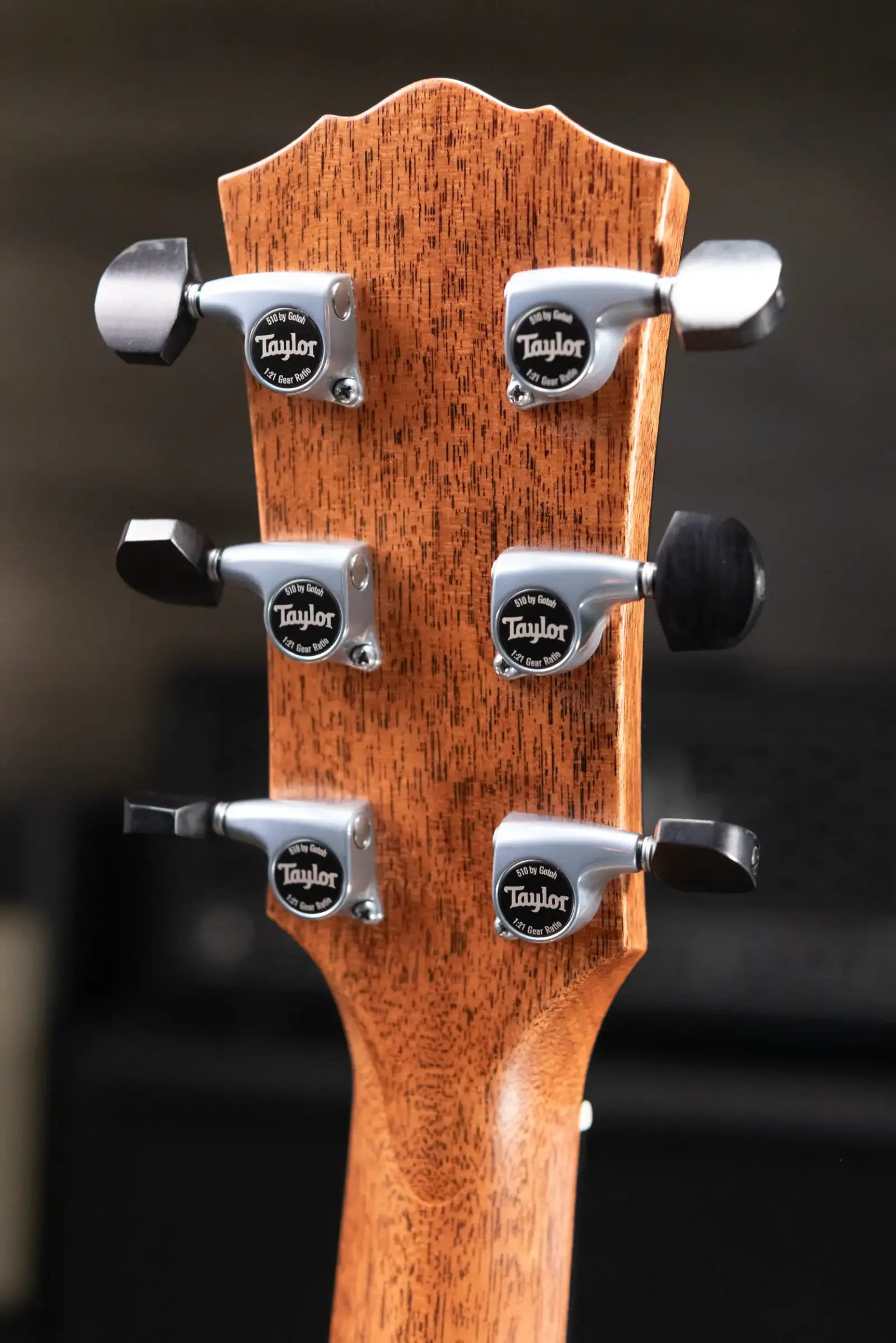 Taylor Gold Label 810e Dreadnought Acoustic/Electric Guitar with Hardshell Case