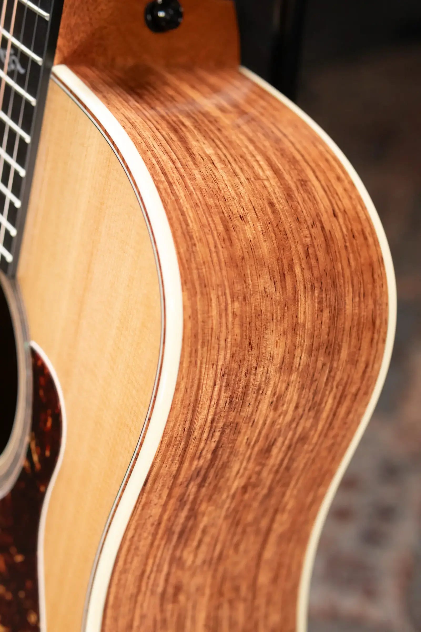 Taylor Gold Label 810e Dreadnought Acoustic/Electric Guitar with Hardshell Case