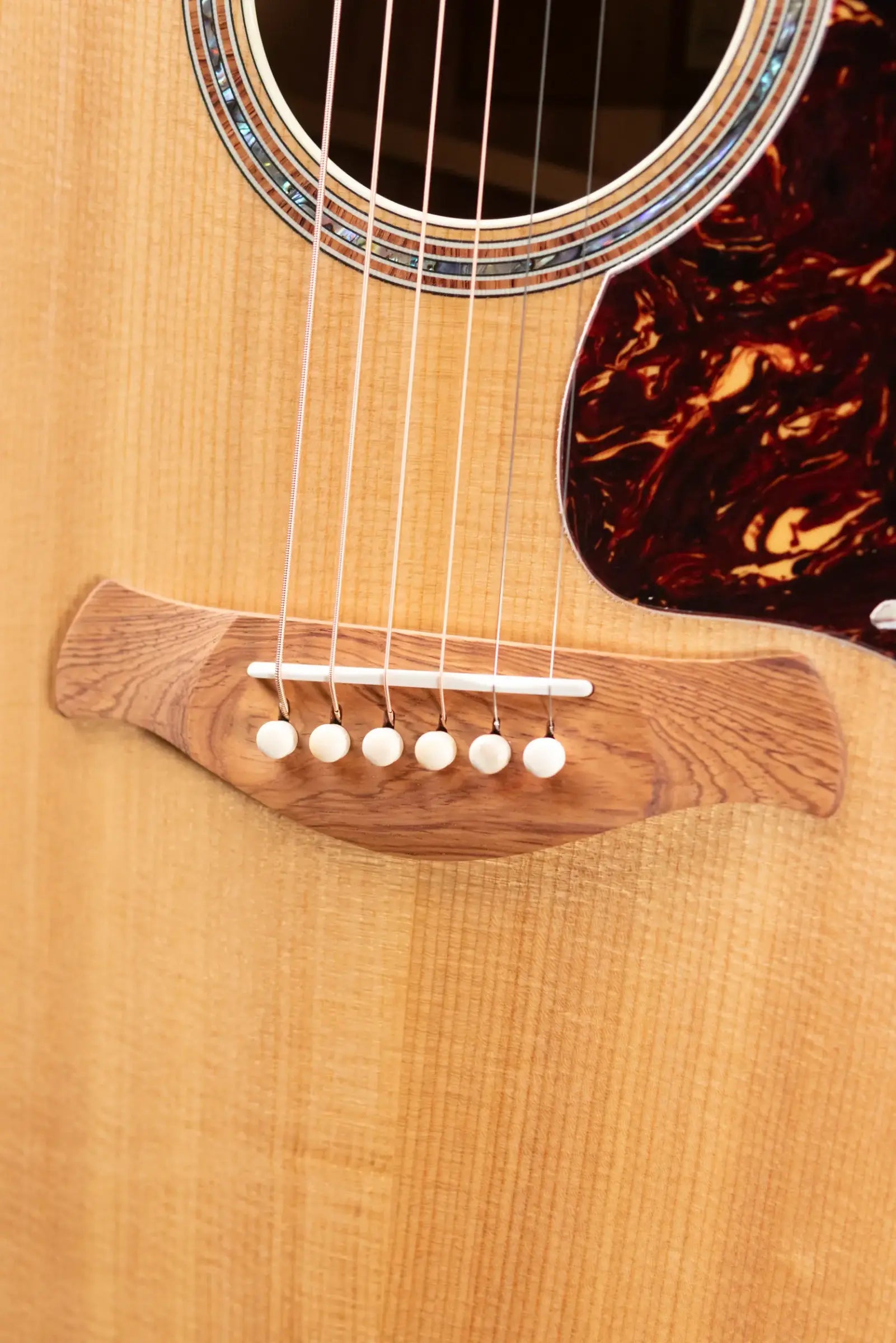 Taylor Gold Label 810e Dreadnought Acoustic/Electric Guitar with Hardshell Case