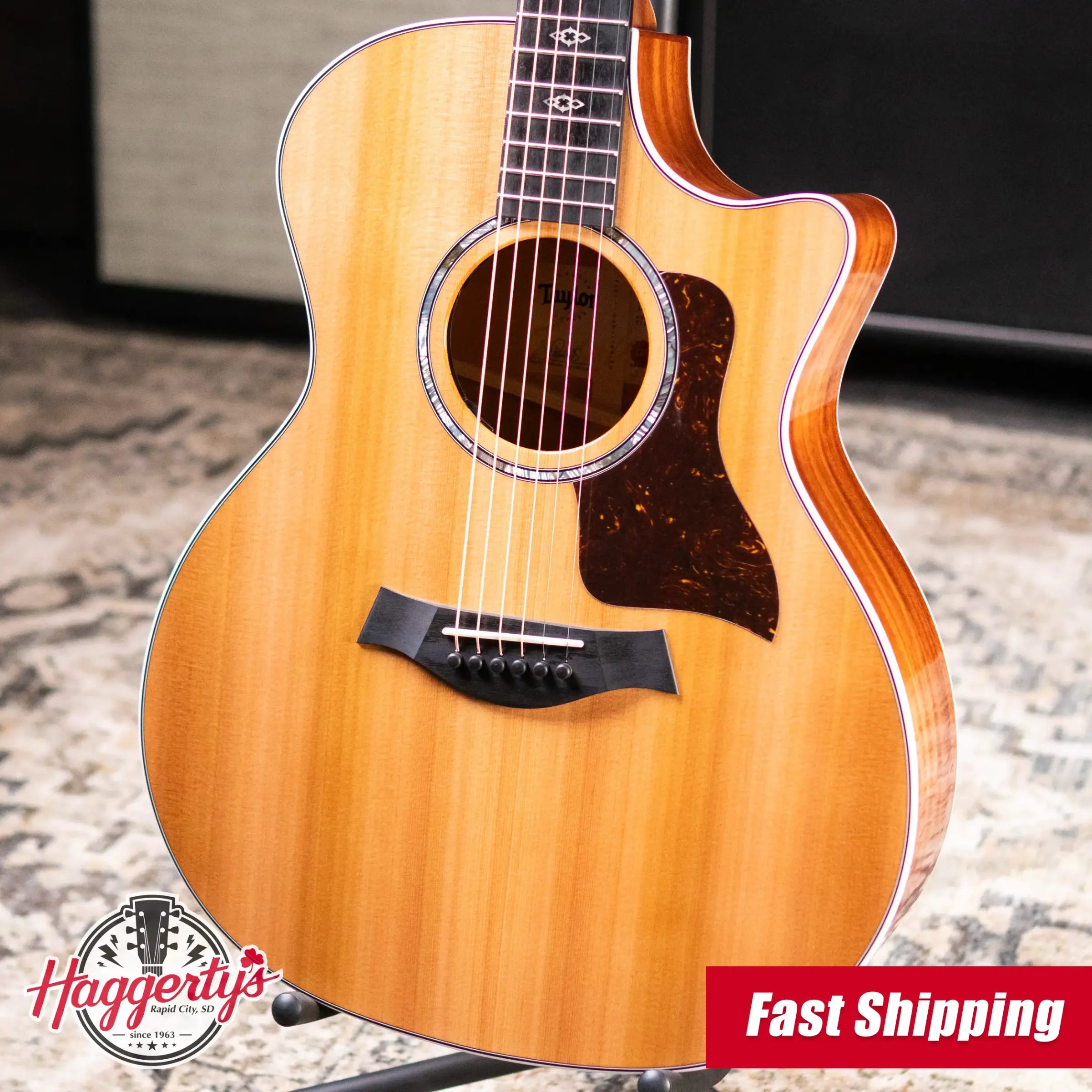 Taylor Next Generation 514ce Grand Auditorium Acoustic/Electric Guitar with Hardshell Case - Factory Demo