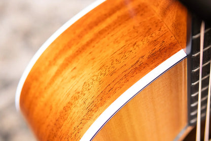 Taylor Next Generation 514ce Grand Auditorium Acoustic/Electric Guitar with Hardshell Case - Factory Demo