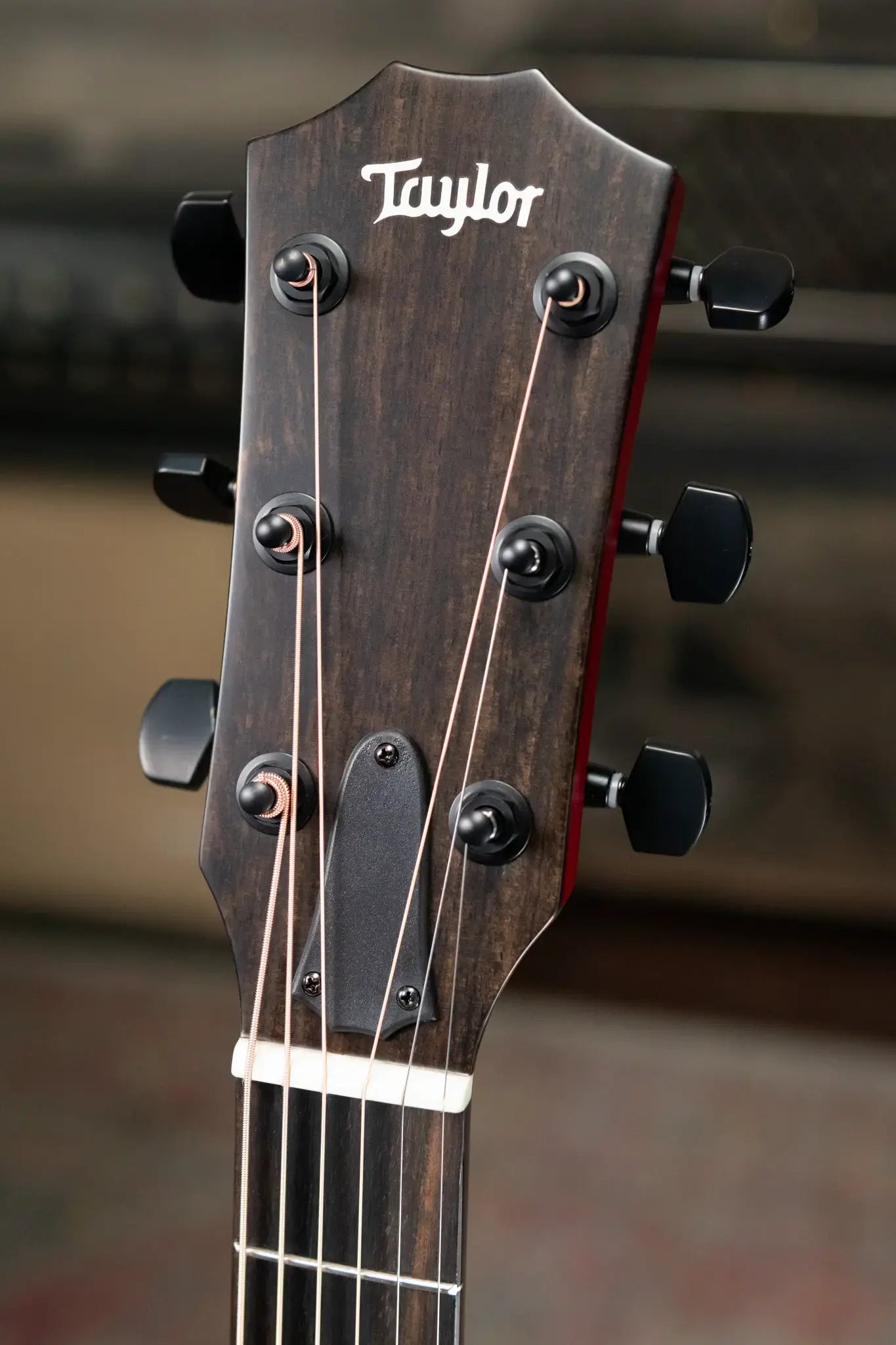 Taylor 224ce Plus Special Edition Grand Auditorium Acoustic/Electric Guitar - Trans Red Top with Aerocase