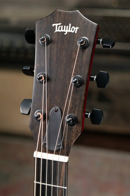 Taylor 224ce Plus Special Edition Grand Auditorium Acoustic/Electric Guitar - Trans Red Top with Aerocase