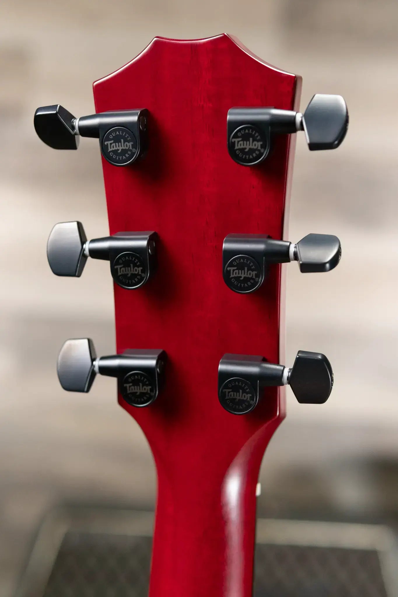 Taylor 224ce Plus Special Edition Grand Auditorium Acoustic/Electric Guitar - Trans Red Top with Aerocase