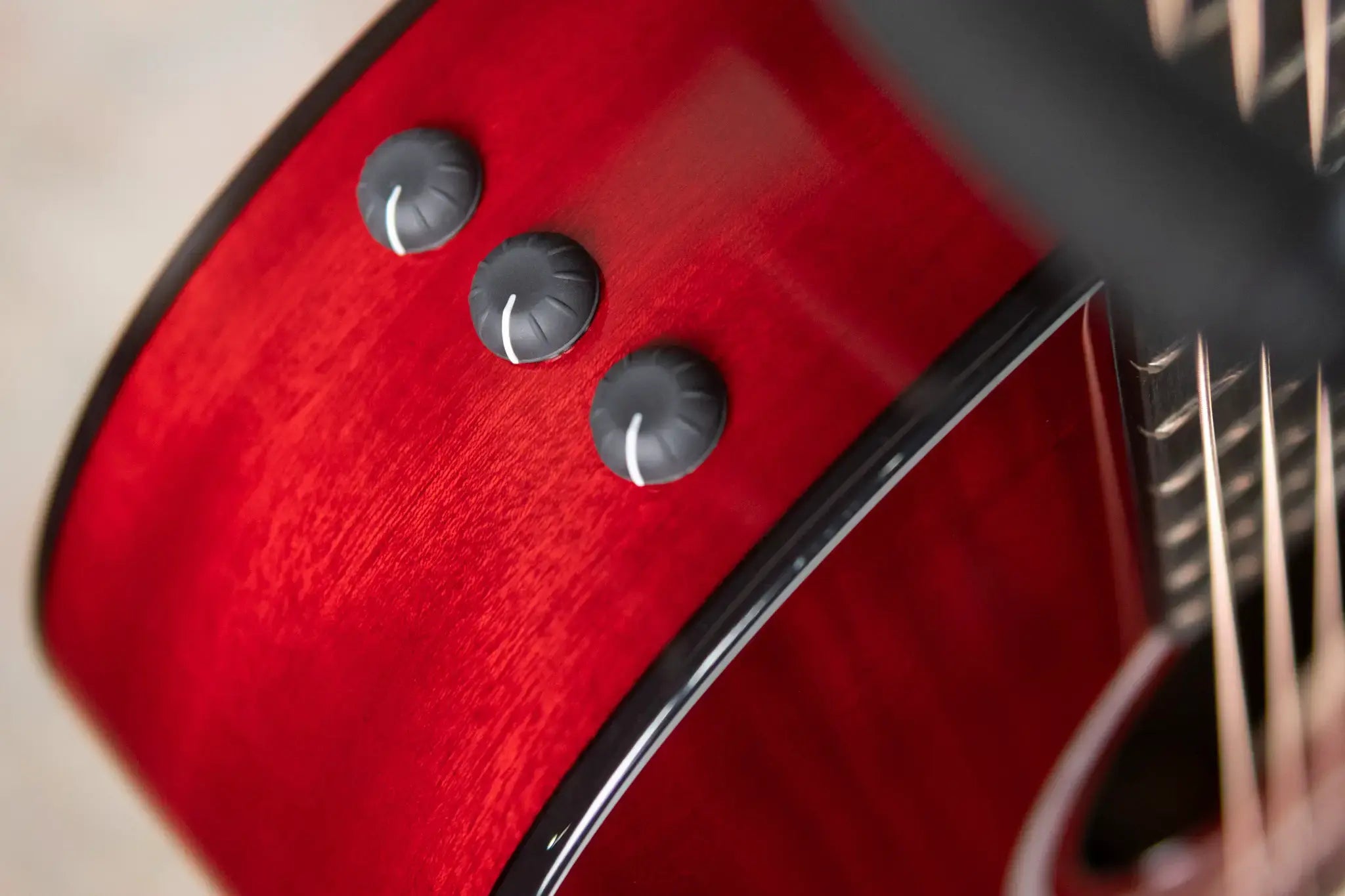 Taylor 224ce Plus Special Edition Grand Auditorium Acoustic/Electric Guitar - Trans Red Top with Aerocase