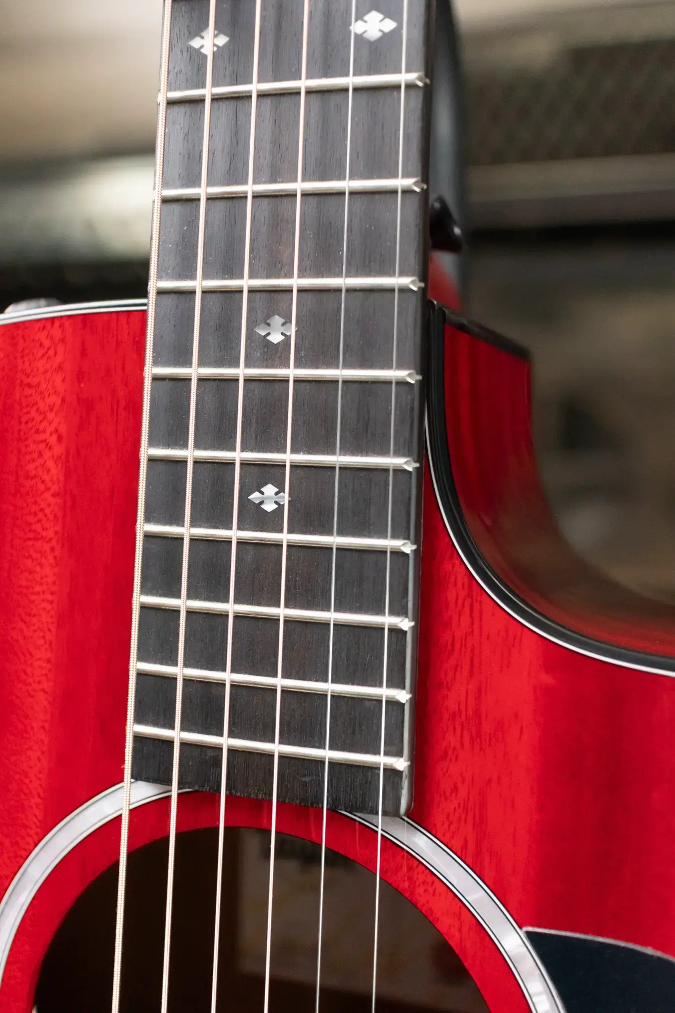 Taylor 224ce Plus Special Edition Grand Auditorium Acoustic/Electric Guitar - Trans Red Top with Aerocase