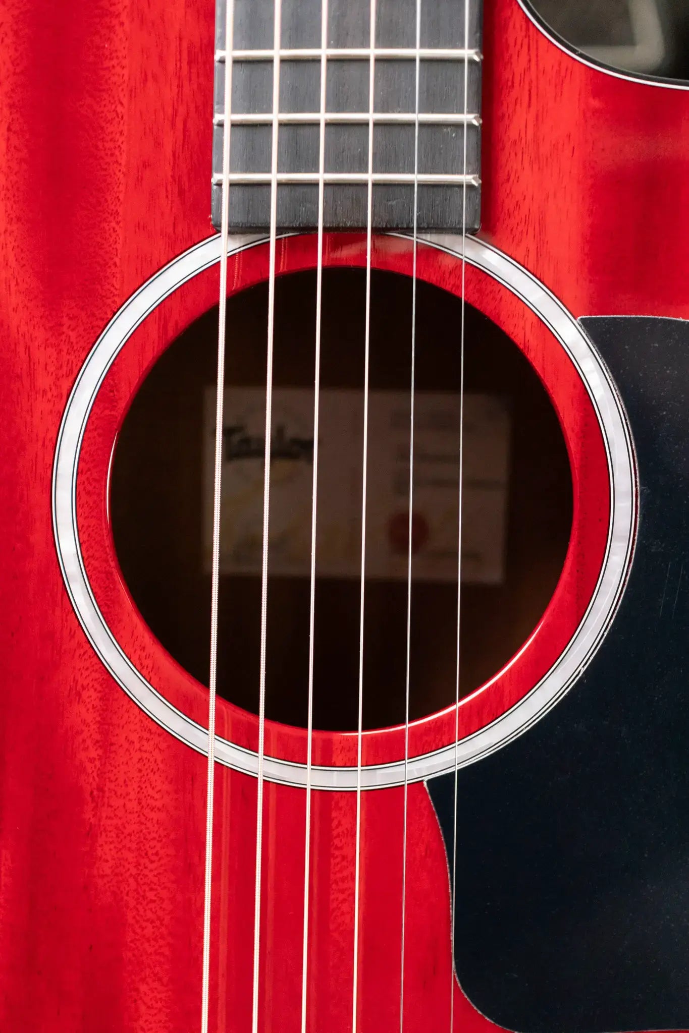 Taylor 224ce Plus Special Edition Grand Auditorium Acoustic/Electric Guitar - Trans Red Top with Aerocase