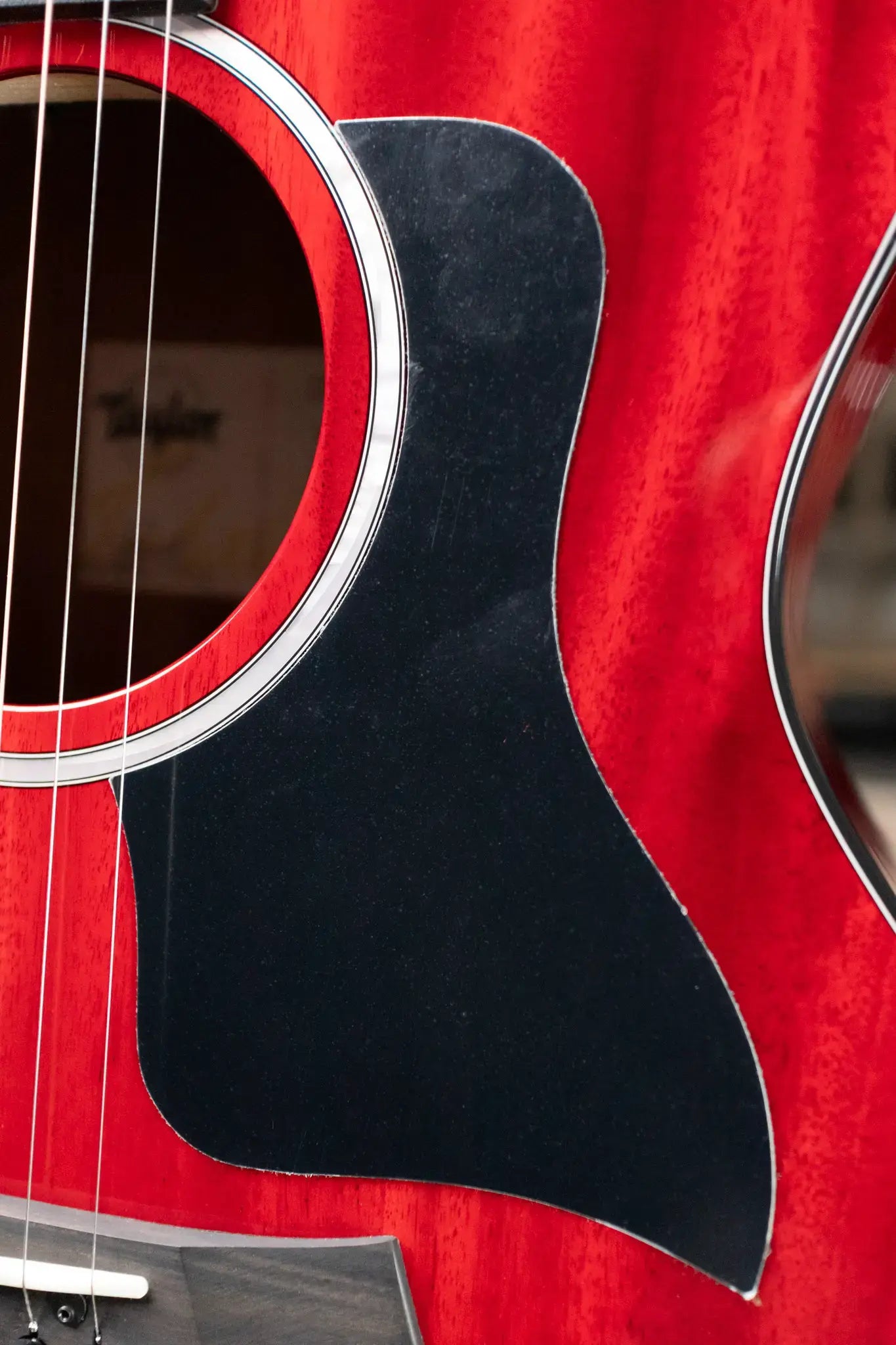 Taylor 224ce Plus Special Edition Grand Auditorium Acoustic/Electric Guitar - Trans Red Top with Aerocase