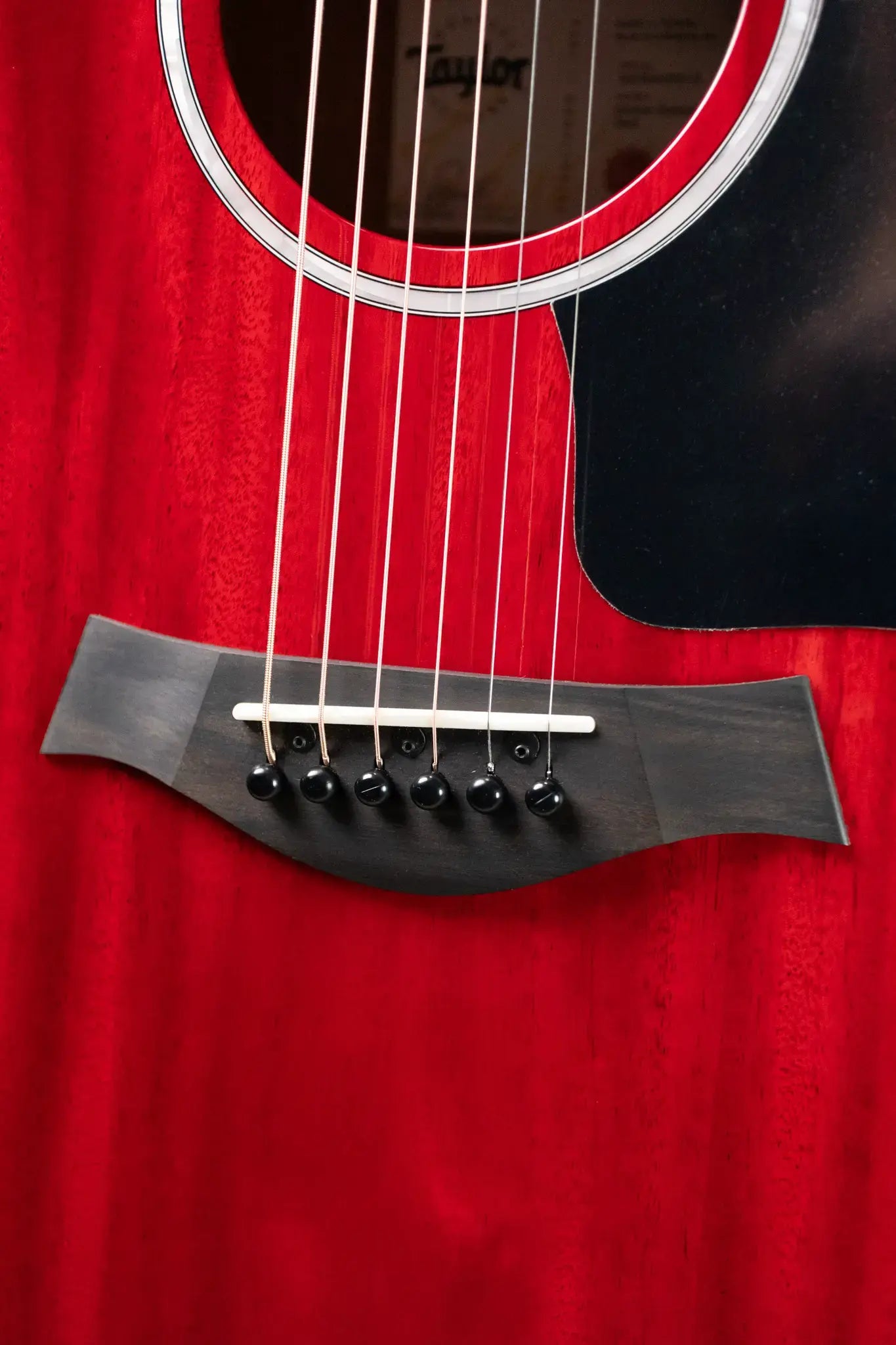 Taylor 224ce Plus Special Edition Grand Auditorium Acoustic/Electric Guitar - Trans Red Top with Aerocase