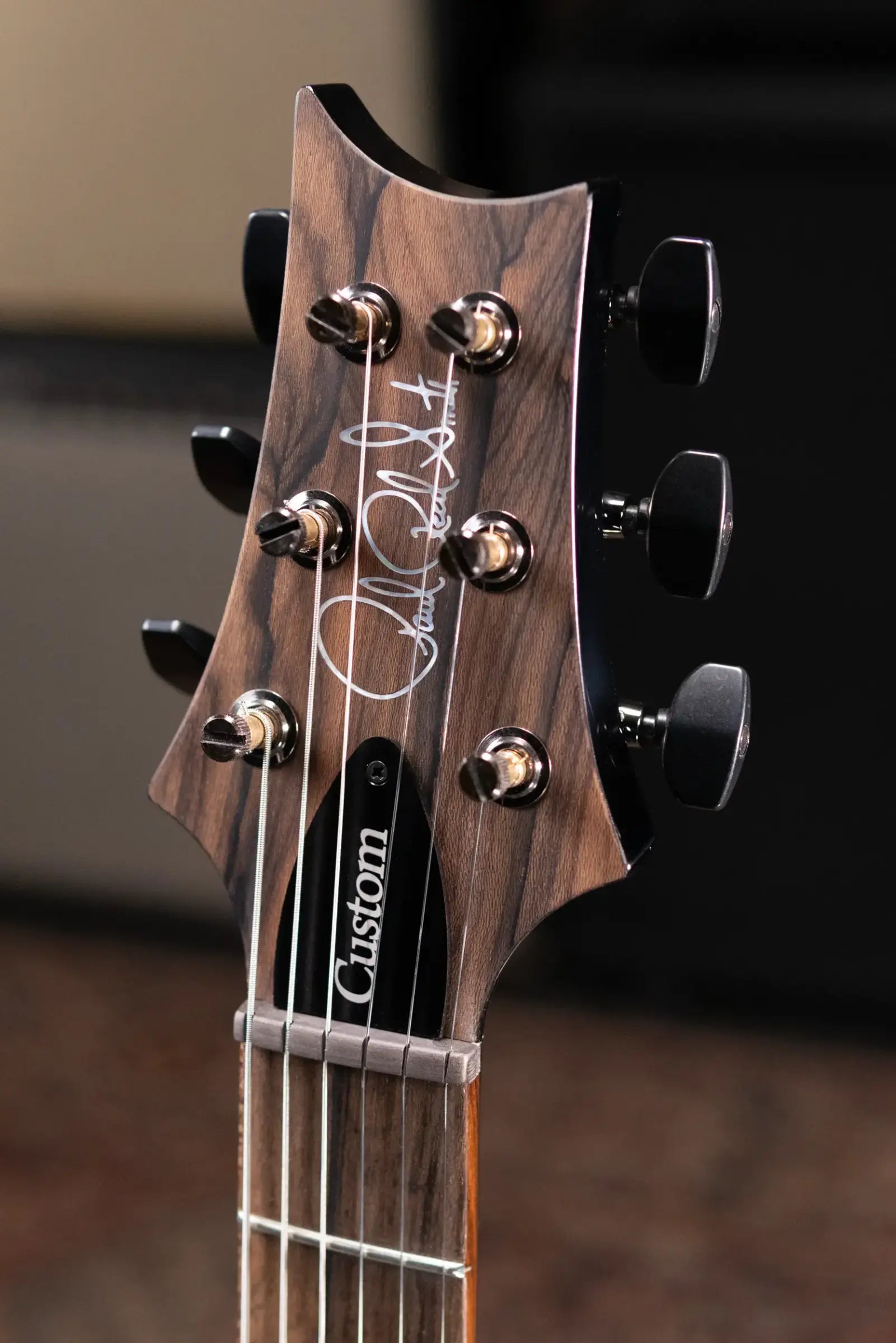 PRS Custom 24-08 Mango Top Limited Edition Electric Guitar - Purple Mist with Hardshell Case